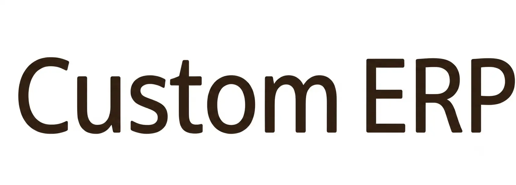 Custom ERP